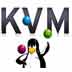 vps kvm $1